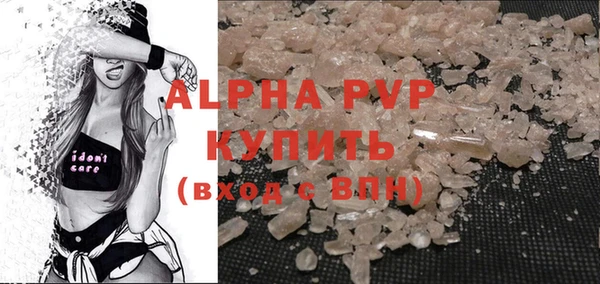 СК Аркадак