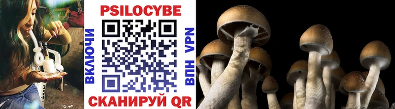 Галлюциногенные грибы Magic Shrooms  Теберда 